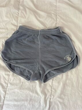 Brandy Melville Dusty Blue St George Shorts